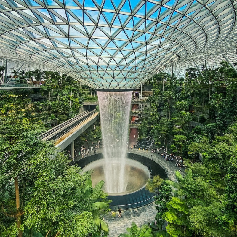 Article blog : comment Bellegno réduit son impact écologique