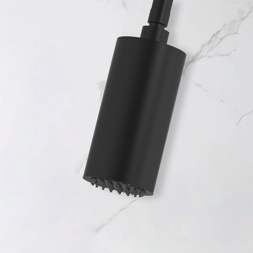 Zoom pommeau de douche mural noir mat - Bellegno