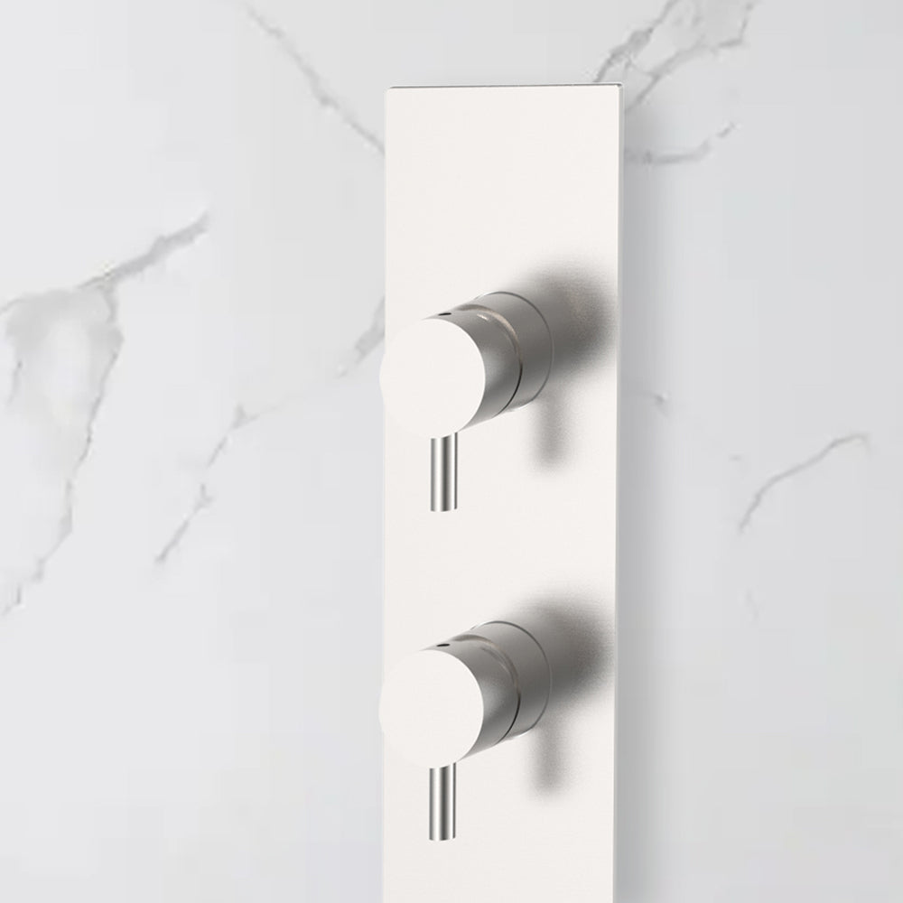 Mitigeur thermostatique colonne de douche acier brossé - Bellegno
